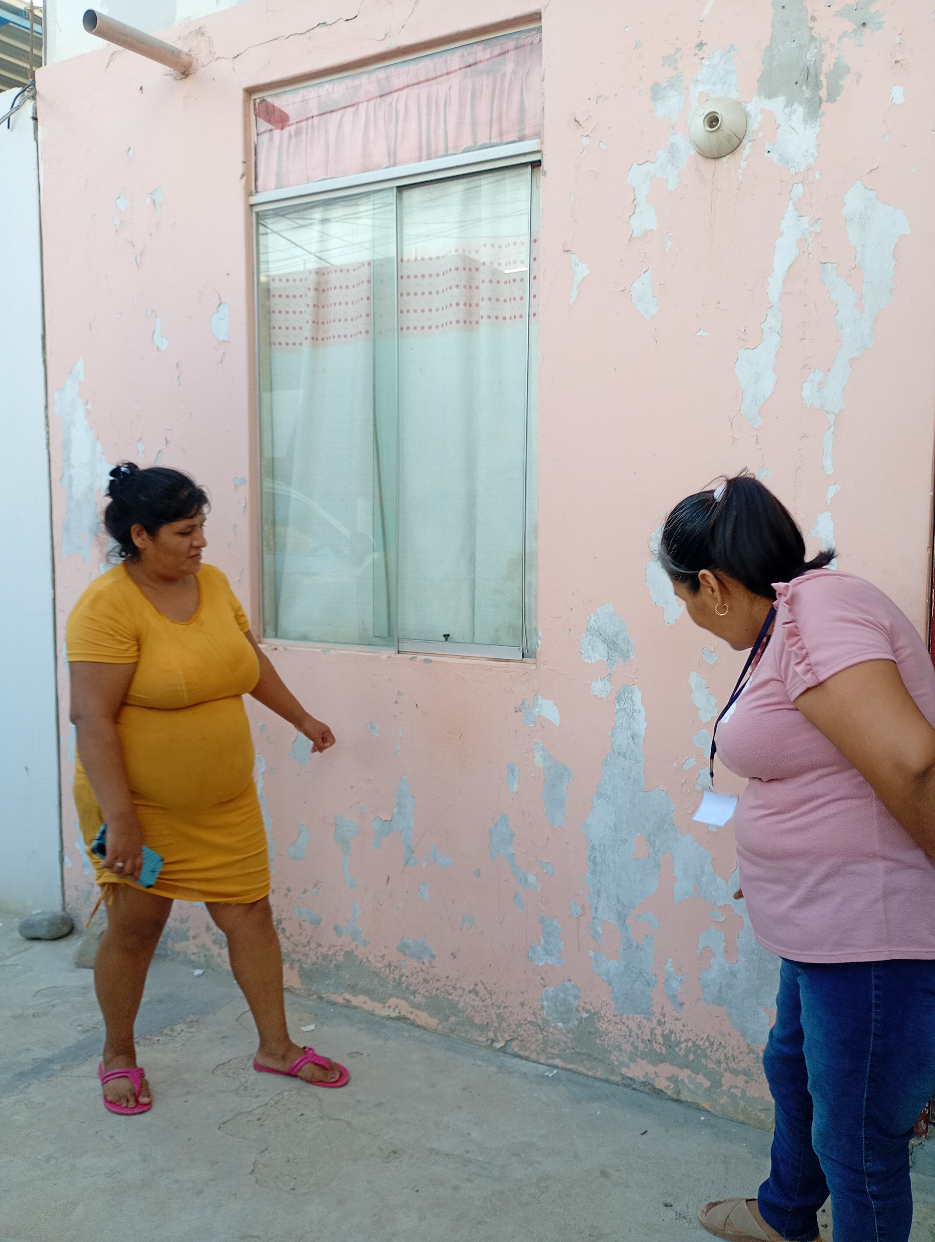 Tramitación de seguros